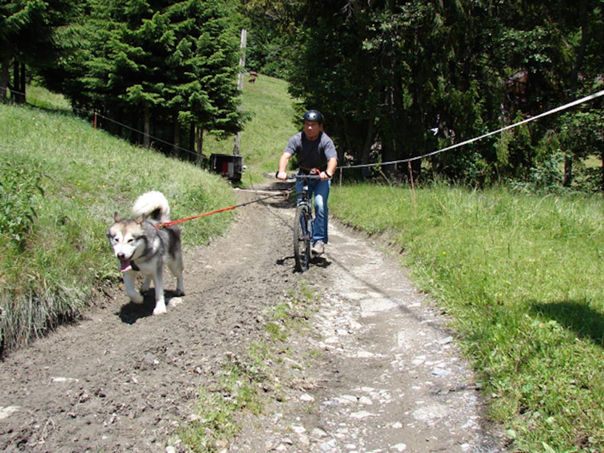 Les Chalets Autrichiens - Megève Esterno foto